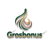 GrosBonus